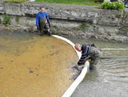 Sapanca Gölü'ne Sızan Akaryakıtın Temizlenmesi
