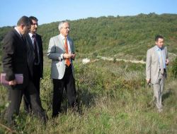 Kastamonu'da Defne Yaprağı Üretimi Artırılacak
