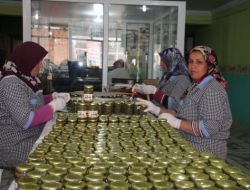 Kaparinin Ms Hastalığında Yüzde 80 Çare Olduğu Saptandı