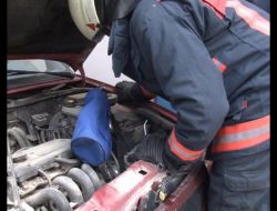 Otomobile Saklanan Yılanı Süt Vererek Yakalamaya Çalıştılar