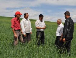 Süne İle Mücadele Çalışmaları Başladı