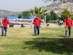 İzmir’de Son Üç Yılda 30 Bin Kene Şikayeti Yapıldı