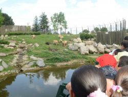 İlköğretim Öğrencileri, Yaban Hayatı Konusunda Bilgilendirildi