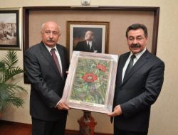 Vali Yüksel Gölbaşı'nda İncelemelerde Bulundu