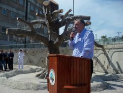 Zonguldaklı Şehitlerin İsimleri 'Şehitler Ağacı'nda Yaşayacak