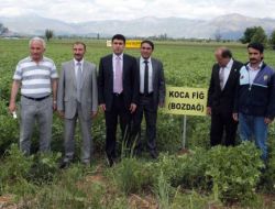 'Acıpayam’da Günde 250 Ton Süt Üretiliyor'