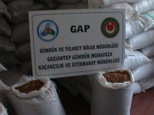 GAZİANTEP’TE BADEM İÇİ OPERASYONU