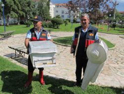 İtfaiyeden Arı Operasyonu