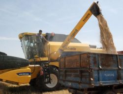 HASAT MEVSİMİ BAŞLADI!