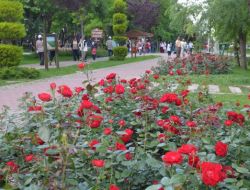 Denizli, Çiçeklerle Renklendi