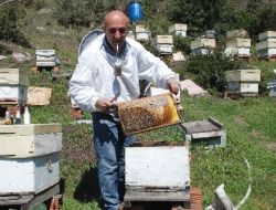 Ereğli’de Uygulamalı Arı Yetiştirme Eğitim İstasyonu Kurulacak