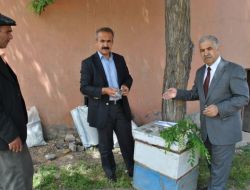 Heska-der Başkanı Kaçmaz: En Yaygın Tarımsal Etkinliklerden Biri Arıcılık