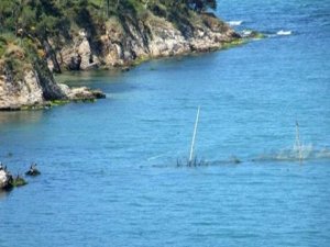 Ünlü iş adamı tekne kazasında öldü