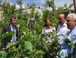 Entegre Kırsal Kalkınma Programı İşbirliği Protokolü İmzalandı