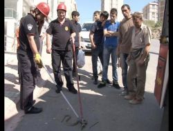 OTOMOBİLDE YILAN AVI (ÖZEL)