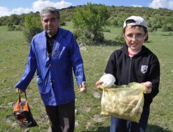 Uzmanlar, Vatandaşları, Doğada Yetişen Mantar Yememeleri Konusunda Uyardı