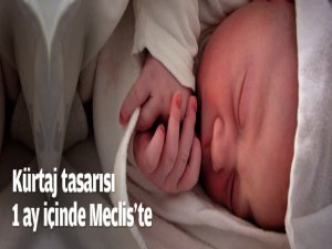Kürtaj yasa taslağı 1 ay içinde Meclis'te..