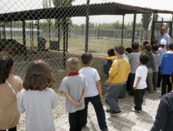 Hayvan Parkına Çocuklar İlgi Gösteriyor