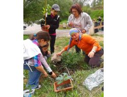 Yavru Tema’dan Paşabahçe’ye Fidan Desteği