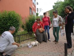 Kediler İçin Sokaklarda Beslenme Odakları Kuruldu