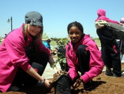 Dünya Çocukları Diyarbakır’a Gül Ağacı Dikti