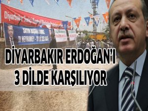 Diyarbakır Erdoğan'ı 3 dilde karşılıyor