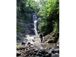 Taş Ocağı İçin Kesilecek Ormanı Kurtaran Köylüler Kutlama Pikniği Düzenledi