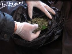 Osmaniye'de Uyuşturucu Satıcısı 16 Kişi Gözaltına Alındı