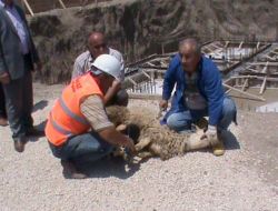 Suluova Yatılı Erkek Kur'an Kursu'nun Temeli Atıldı