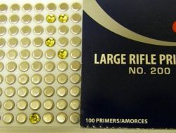 Kapıkule'de silah malzemesi operasyonu