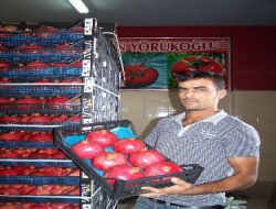 Gdo Tartışmalarıyla Azalan Meyve Sebze İhracatı Domuz Gribiyle Tırmanışa Geçti