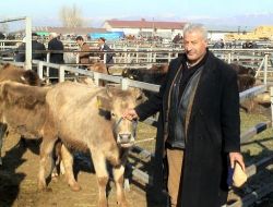 Palandöken Belediyesi Kurban Kesim Yerlerini Belirledi