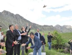 Göksun'da 500 Adet Keklik Doğaya Bırakıldı