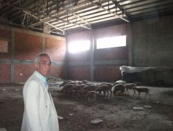 Spor Salonu Koyunlara Ahır Oldu