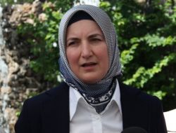 Ak Partili Kadınlar Parkı Çöplerden Temizledi