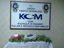 Cizre’de Uyuşturucu Operasyonu