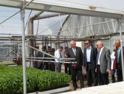 Vali Yenigün, Ermina Turşu Fabrikası'nda İncelemede Bulundu