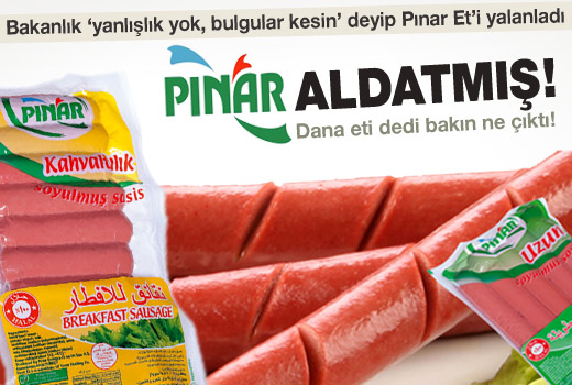 Bakanlık'tan Pınar'a yalanlama