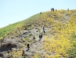 Yüksekova'da Mayın Döşeyen Teröristlerle Çatışma