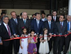 Bakan Eroğlu: Yıl Sonuna Kadar 2 Milyar Fidanı Toprakla Buluşturacağız