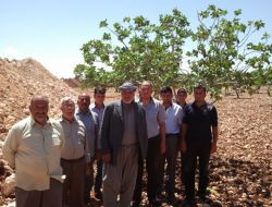 Arazisinden Sulama Kanalı Geçen Çiftçi, Zararının Ödenmesini İstiyor