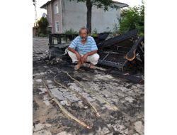 Yılanlar, 6 Kişilik Ailenin Evini Mesken Tuttu