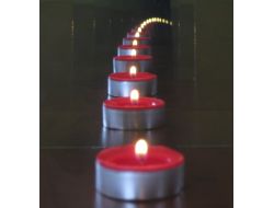 Nile Akademi Öğrencileri, Fizik Ödüllerini Topladı