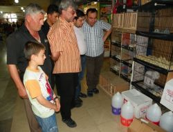 Van Kedisi, Civcivlere Kendi Yavrusu Gibi Bakıyor