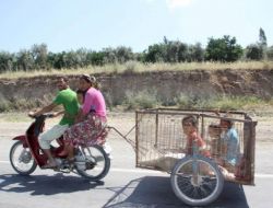 6 Kişilik Ailenin Motorla Tehlikeli Yolcuğu