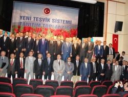 "100.yıla taşıyacak bölge 6.bölgedir"