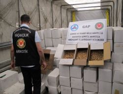 Kaçak Kuruyemişler Bayat Ve Çürük Çıktı!