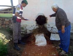 Ahırın Duvarını Delen Hırsızlar İnek Çaldı