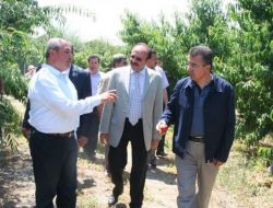 Vali Lekesiz: Çiftçimiz Dış Pazara Hitap Eden Ürünler Yetiştirmeli