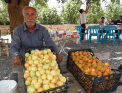 Talep Artınca Köylü Ürününü Pazarda Değil Yol Kenarında Satmaya Başladı